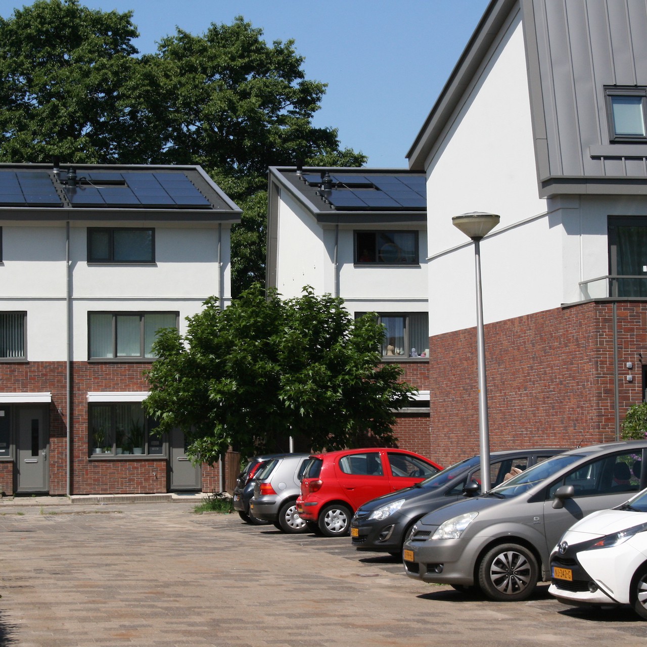 Akkerwinde