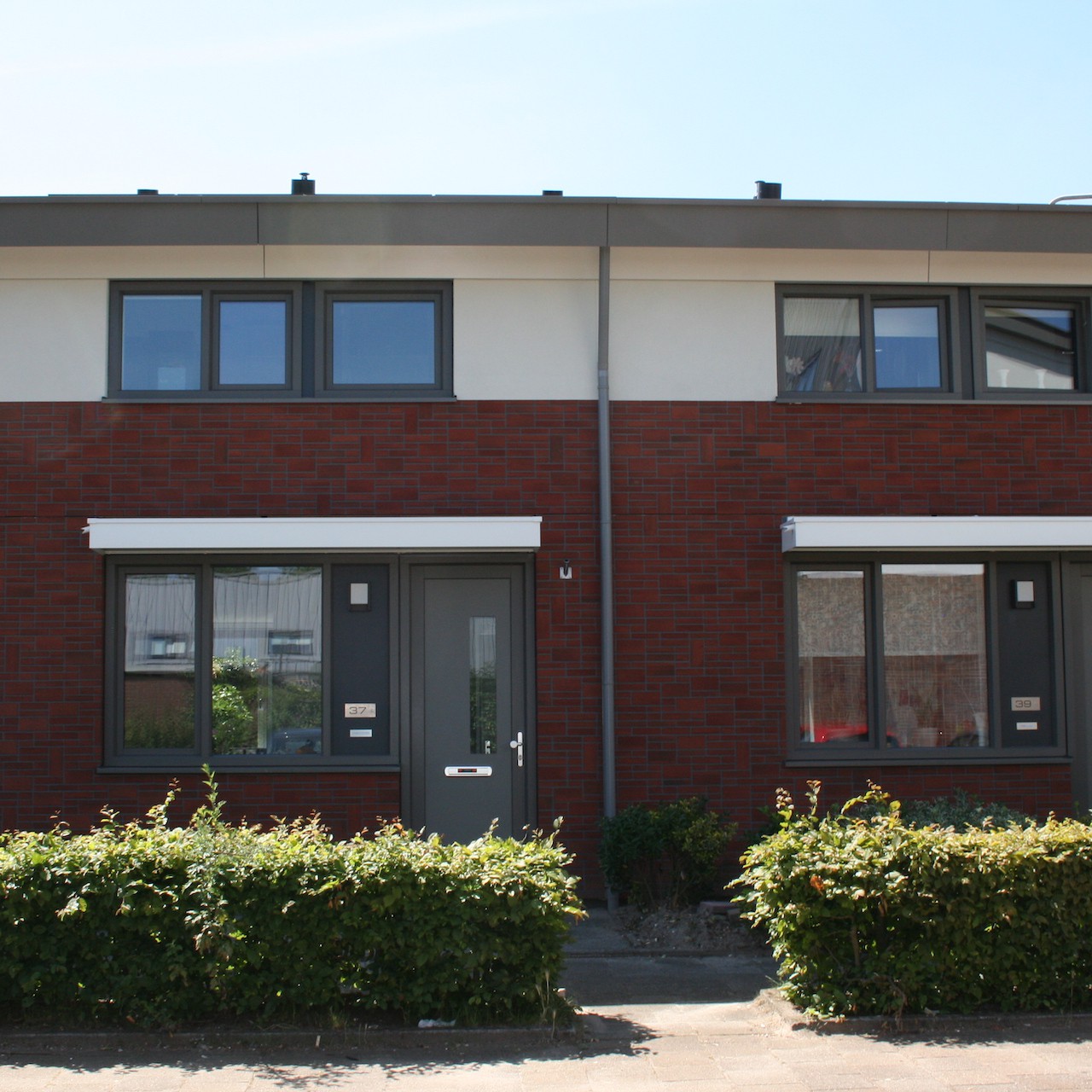 Akkerwinde