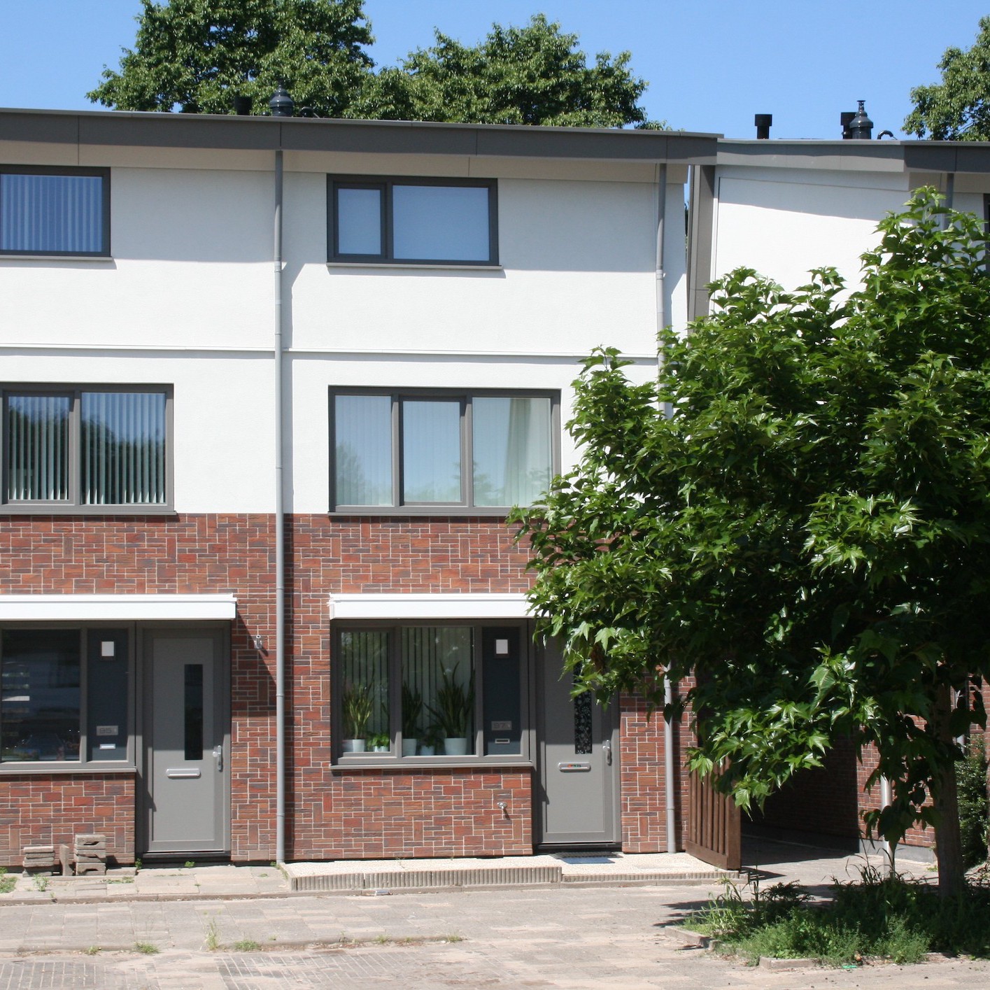 Akkerwinde