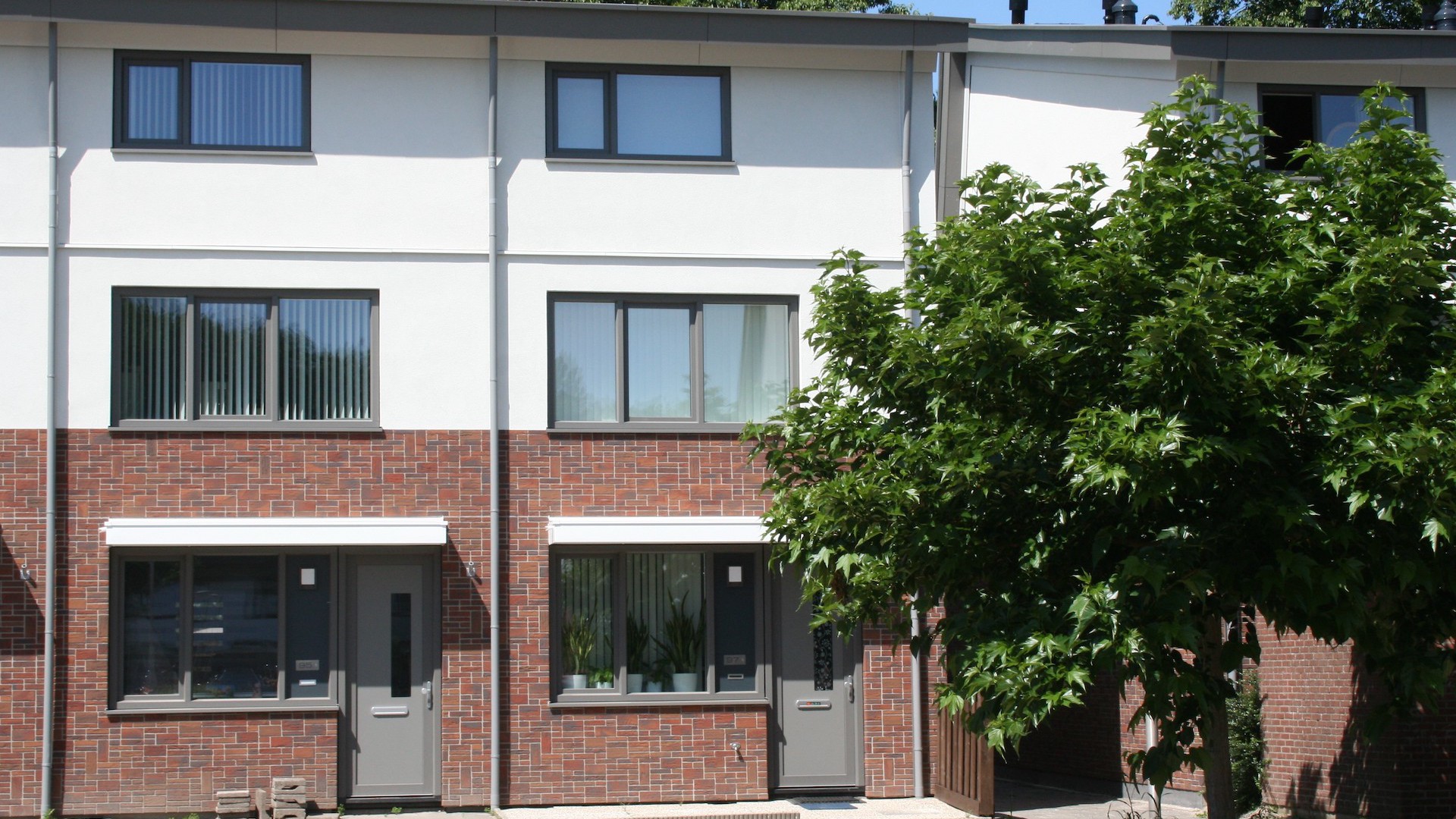 Akkerwinde